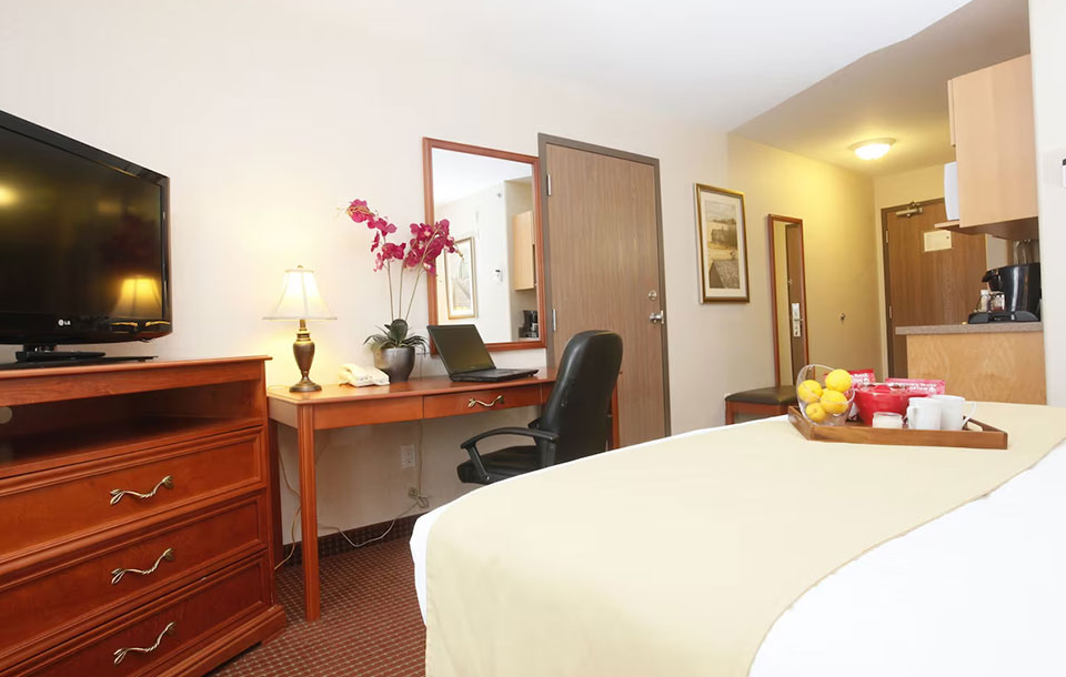 One King Bed