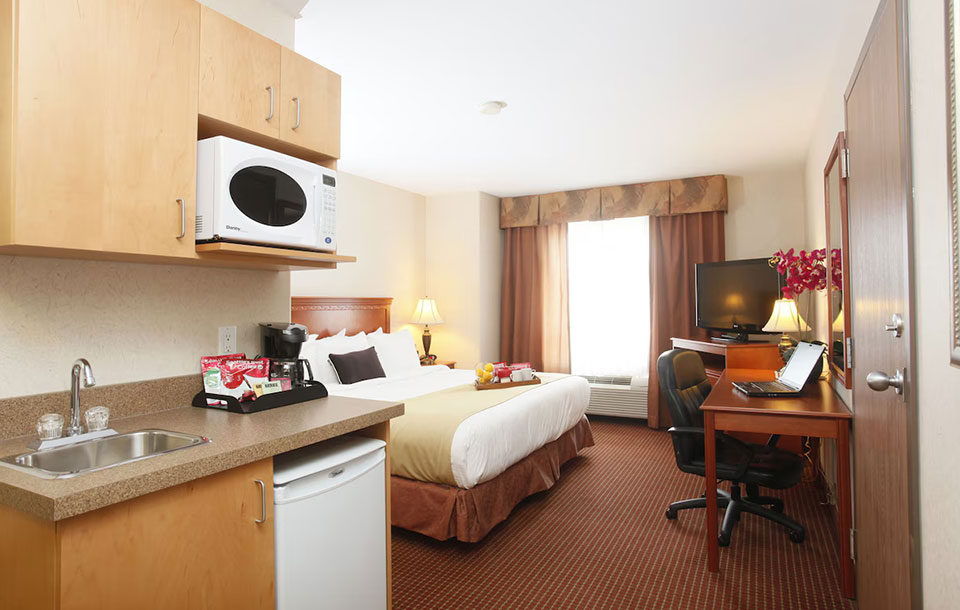 One King Bed