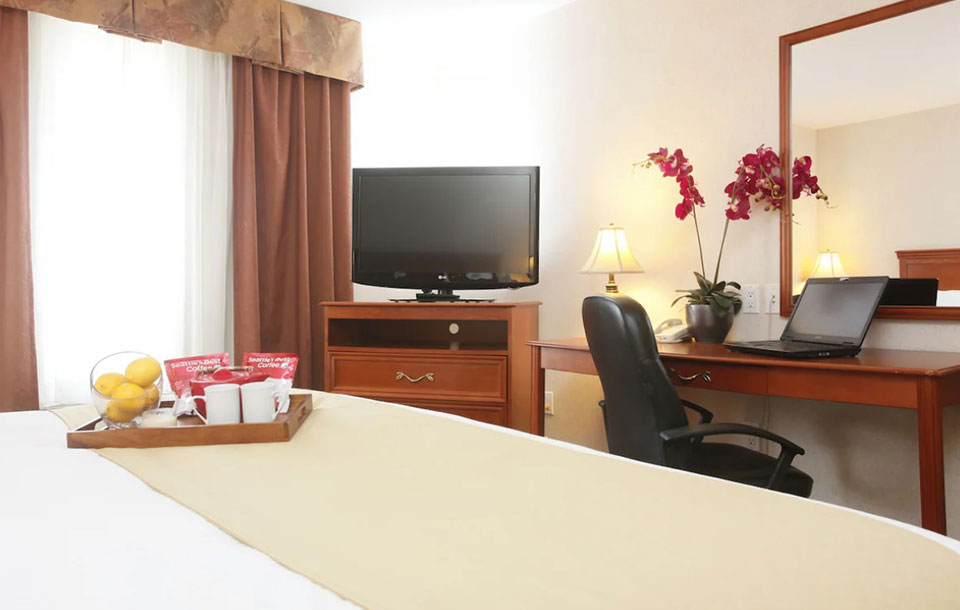 One Double Bed