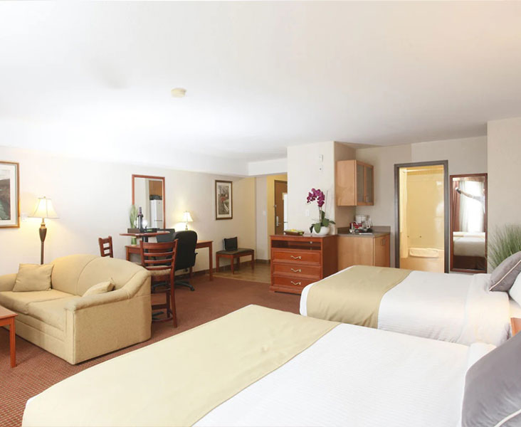 King Suite